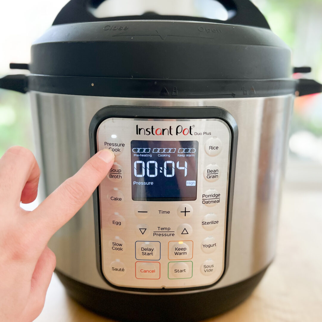 Instant Pot Jasmine Rice - That Instapot Paige